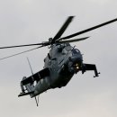 예동물병원 이미지