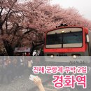 힐링투어라인 이미지