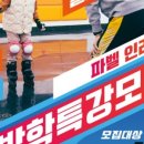 파벨인라인