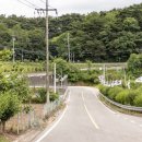 농업회사법인(유)웅치마을영농회 이미지