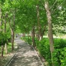 숲내음공원 이미지