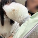 강혜원, 어떻게 살 것인가