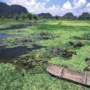 아름다운 이미지