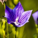 Soo-J 행정사사무소 이미지