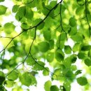 그린바다 이미지