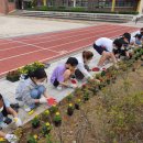 가평초등학교 이미지