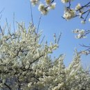 원동마을길 이미지