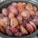 대교왕새우 이미지