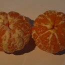 영현농장 이미지