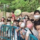 비호태권도장 이미지