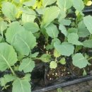 미래농약사 이미지