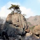 솔바위 이미지