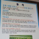 들깨향 장수밀 티스토리