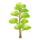 수채화(기초) 이미지