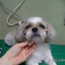 부산마이크로병원 이미지