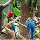 남북카써비스 이미지