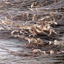 대경농장2 이미지