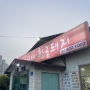 주문진황금돼지 이미지