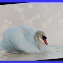 실상마트