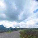 서귀포남원공인중개사사무소 이미지