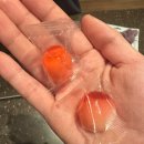 (주)시노텍스 | 알지 나도 그래