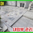 사파동256 이미지