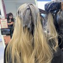 헤어볼하우스 이미지