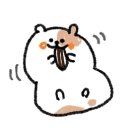 하루하우스 | 속초 게하 '하루게스트하우스' 2인실 도미토리 후기