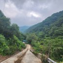백운산-영취산-장안산(삼거마을-중고개재-백운산-선바위고개-영취산-무룡고개-전망데크1.2.3-장안산-중봉-하봉-서낭골-삼거마을갓길주차장) 이미지