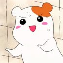 (주)참한우 네이버블로그