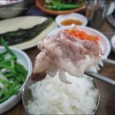 유정집 티스토리