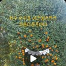 아름다운호야네 이미지