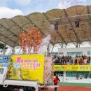 지리산남악제 이미지