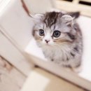 강동24시 SKY 동물의료센터 이미지