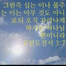 소원대로