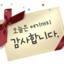 피프티피티 이미지