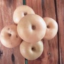 봉화농장 이미지