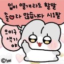 폴레폴레 이미지