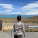 세계주유소 | 엘칼라파테에서 엘찰텐 | 루따40 아르헨티나 렌트카 운전 주의점 | 주유소 없음 주의