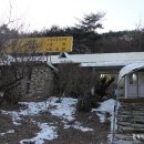개구리반찬 이미지