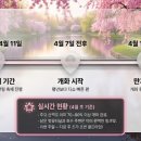 강화푸드마켓 | 2026 인천대공원 벚꽃축제 총정리 실전 주차∙피크닉 명당∙리뷰까지