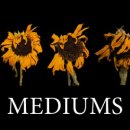 미디엄스(MEDIUMS)