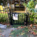 꽃길만걷개 이미지