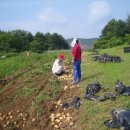 등대여인숙 이미지