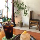 카페테린느 | 마곡카페 테린느 전문점 망고모찌테린느내돈내산 후기