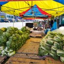 홈마트잡화 이미지