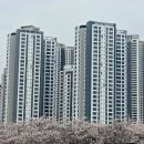 두류공원 이미지