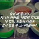 맨날술이야 - 광명시 | 맨날술이야