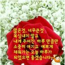 금요일 이미지