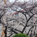 2호선 중동역 5번출구 이미지